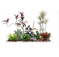 綠植租擺