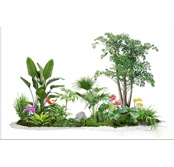 綠植租賃
